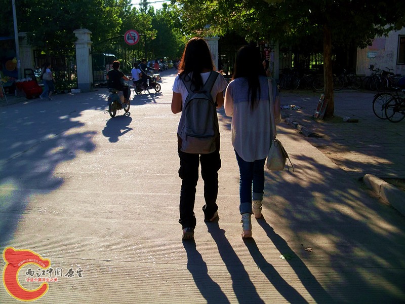 100_4198.JPG