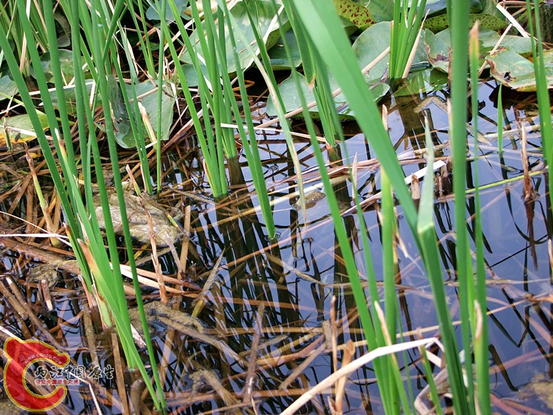 DSCF1139.JPG