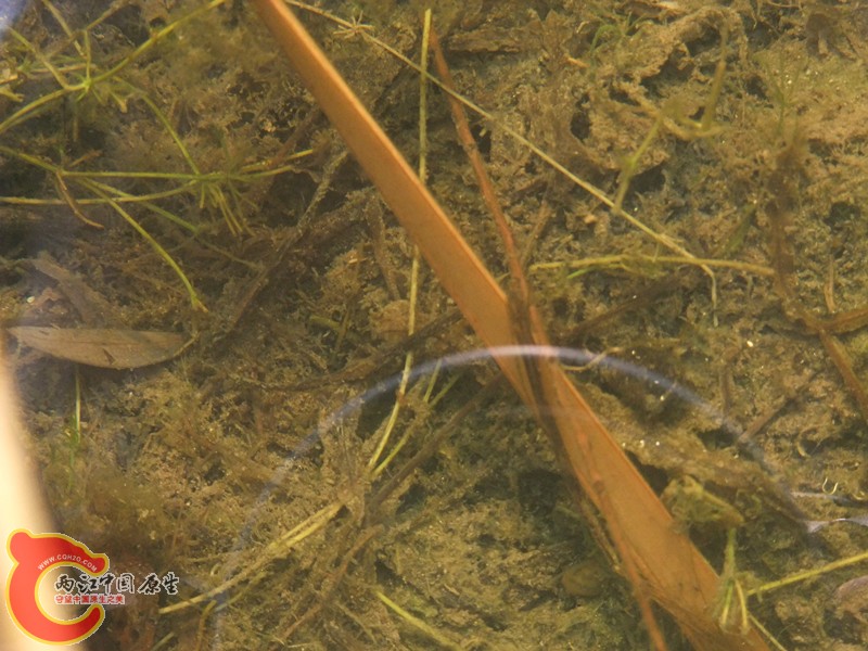 DSCF1157.JPG