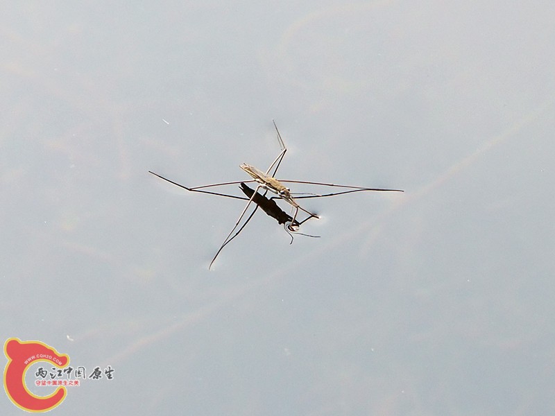 DSCF1158.JPG