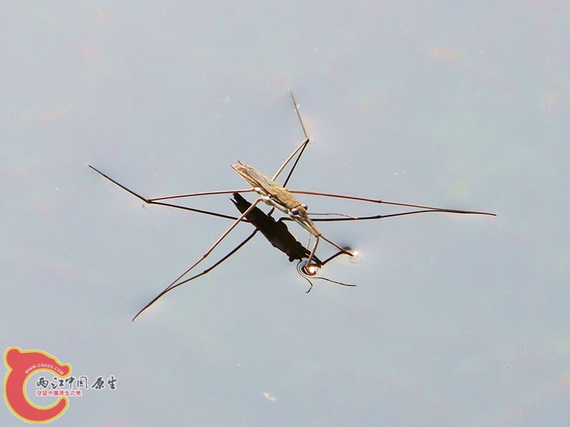 DSCF1159.JPG