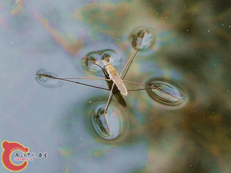 DSCF1162.JPG