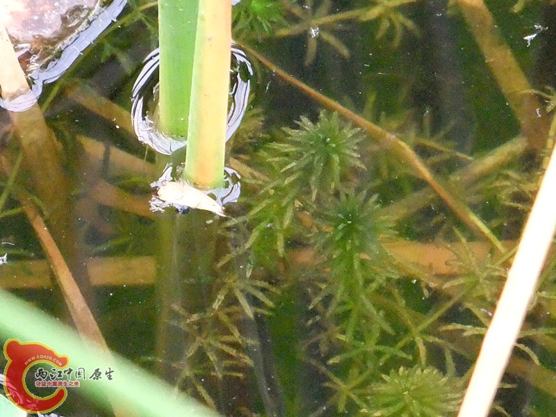 DSCF1212.JPG