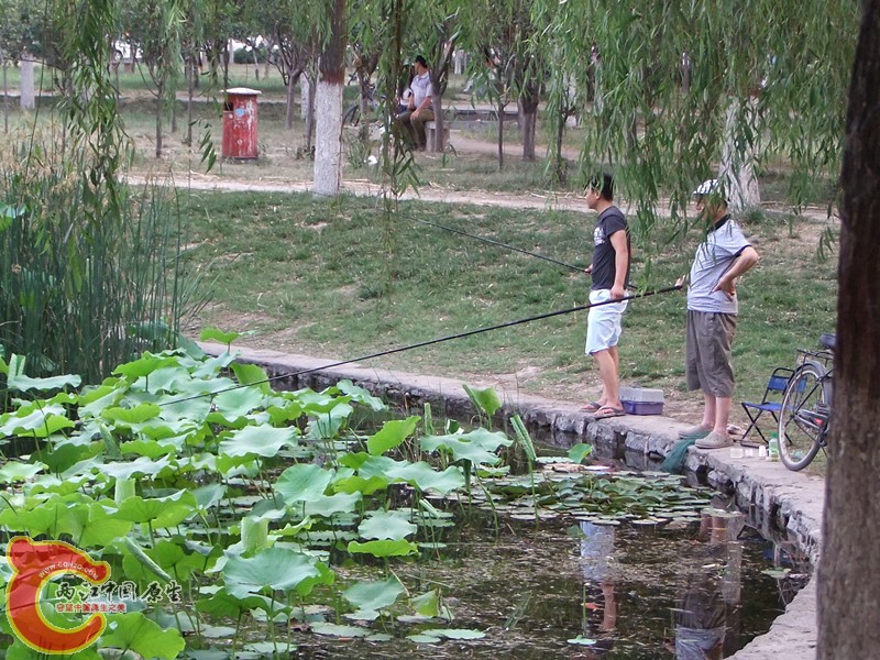 DSCF1220.JPG
