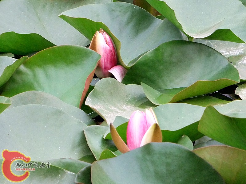 DSCF1222.JPG