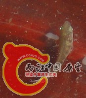 DSC05519.jpg