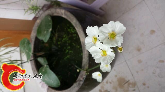 20140614_092224.jpg