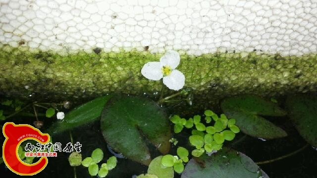 20140531_152143.jpg