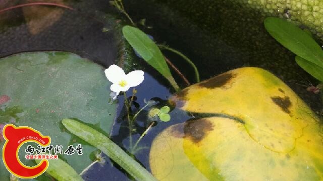 20140531_152159.jpg