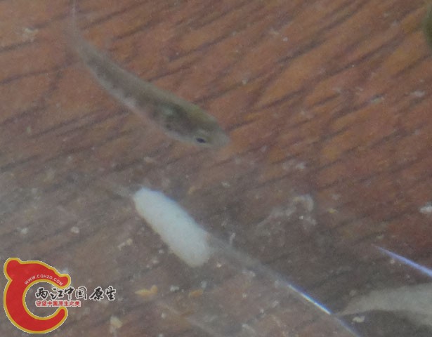 DSC05545.jpg