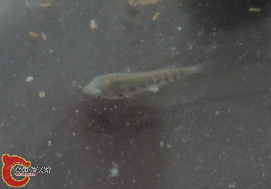 DSC05560.jpg