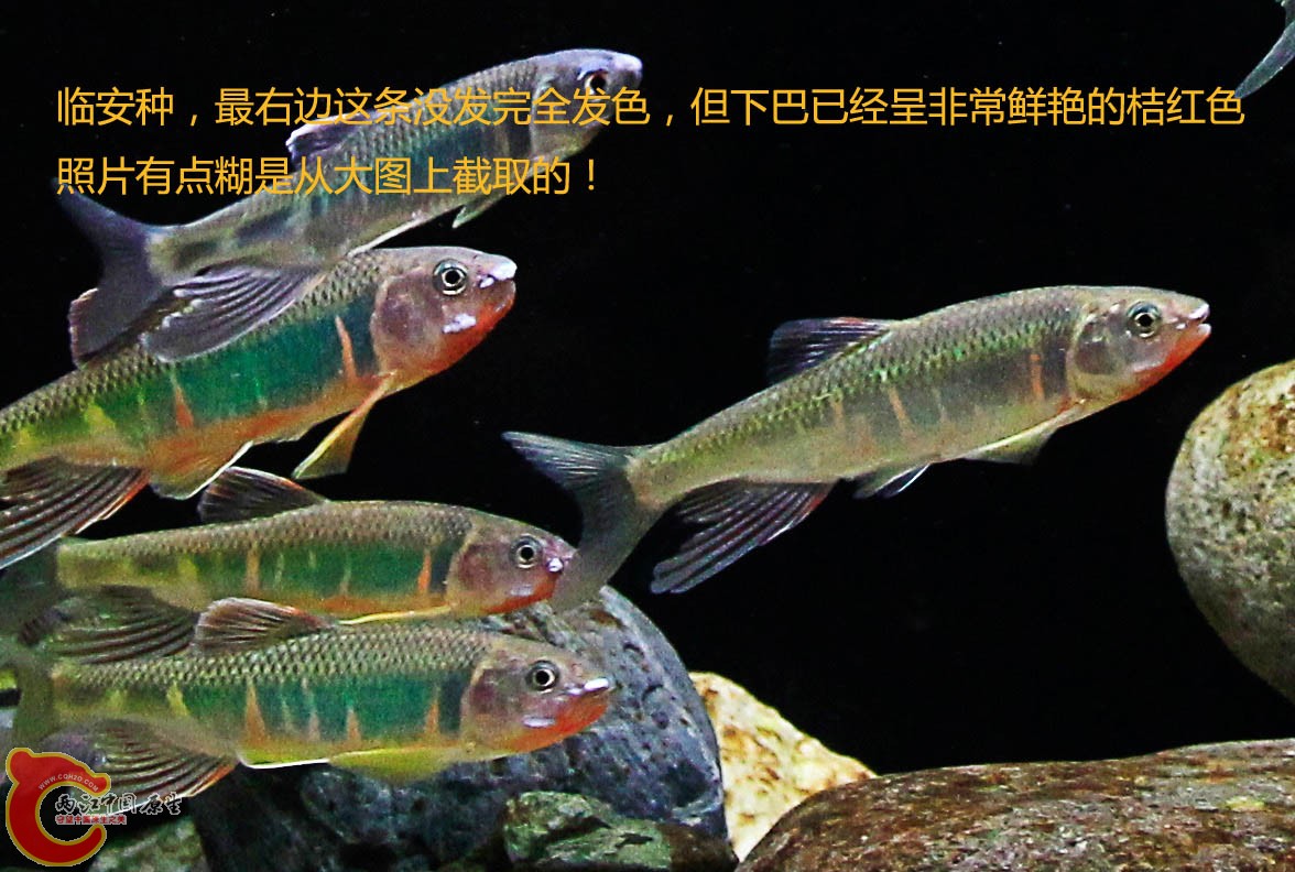 _MG_2051.jpg