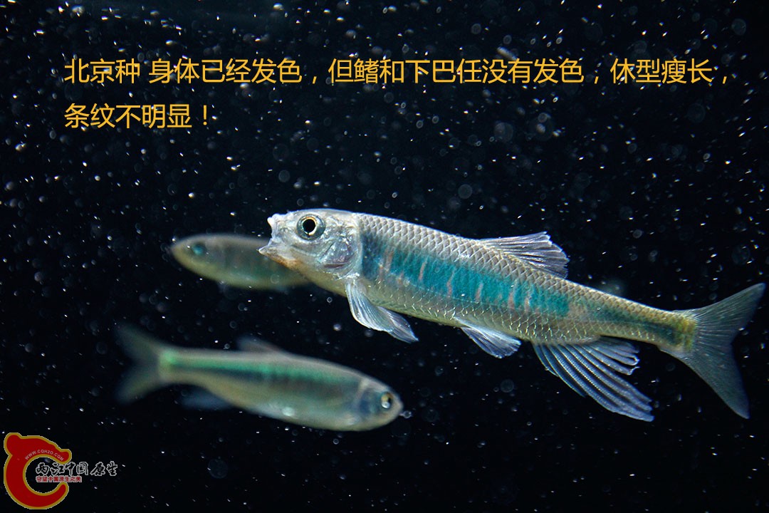 _MG_9590.jpg