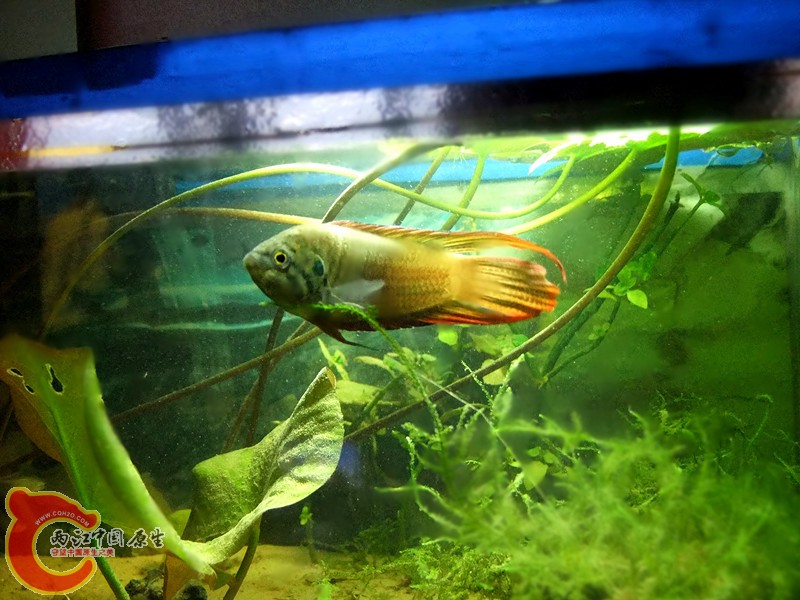 DSCF1392_副本.jpg