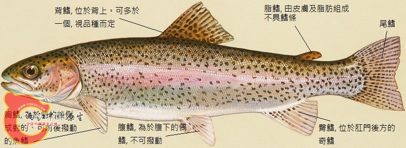 1005042238581012.jpg