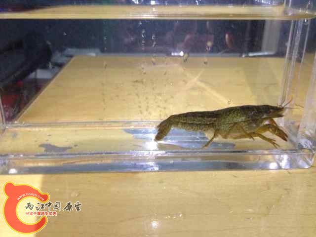 QQ图片20140618091928.jpg