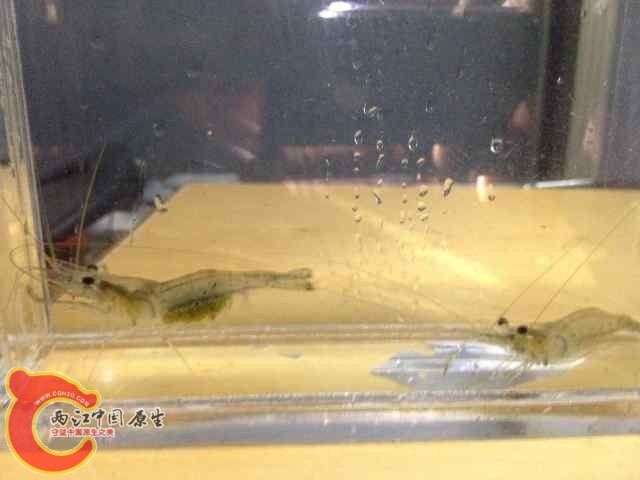 QQ图片20140618091936.jpg