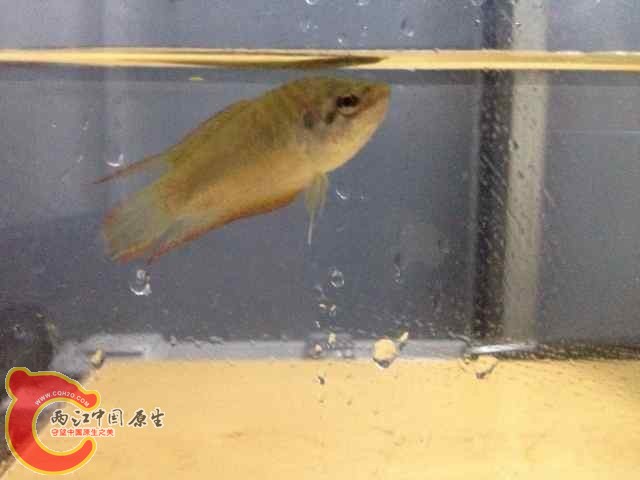 QQ图片20140618091940.jpg