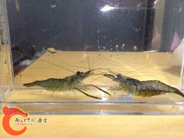 QQ图片20140618091944.jpg