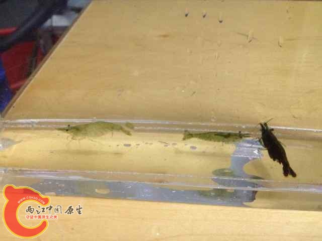 QQ图片20140618091948.jpg
