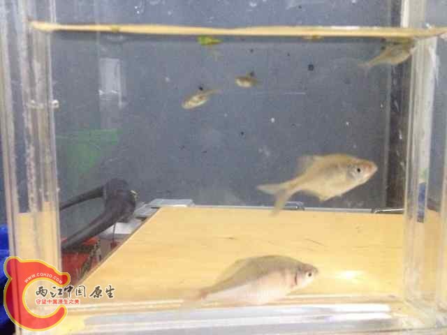 QQ图片20140618092020.jpg