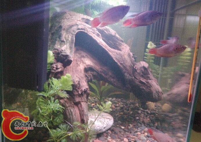 QQ图片20140618234606.jpg