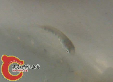 QQ截图20140622164339.jpg