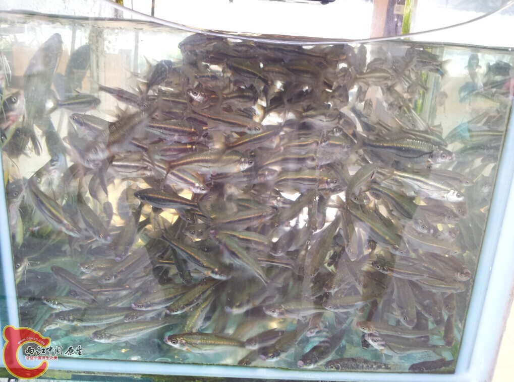 QQ图片20140622212818.jpg