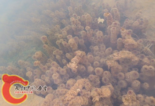 QQ截图20140622233641.jpg