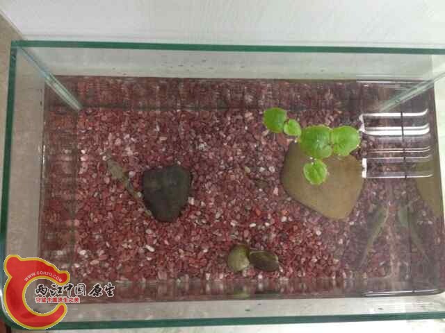 QQ图片20140624102305.jpg