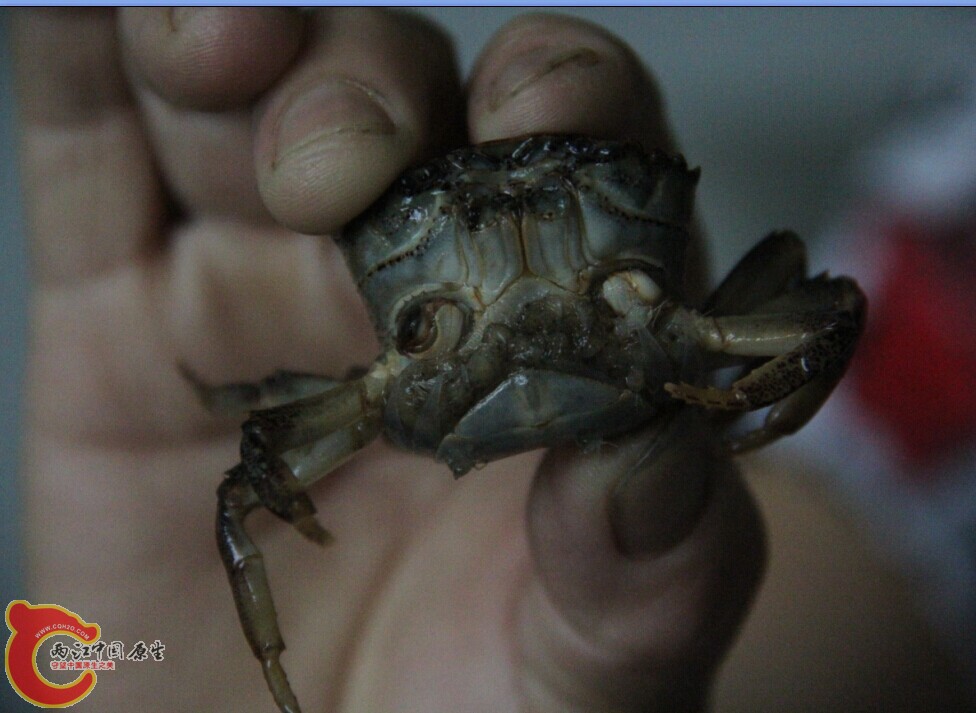 QQ图片20140625092632.jpg