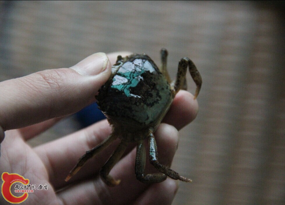 QQ图片20140625092644.jpg