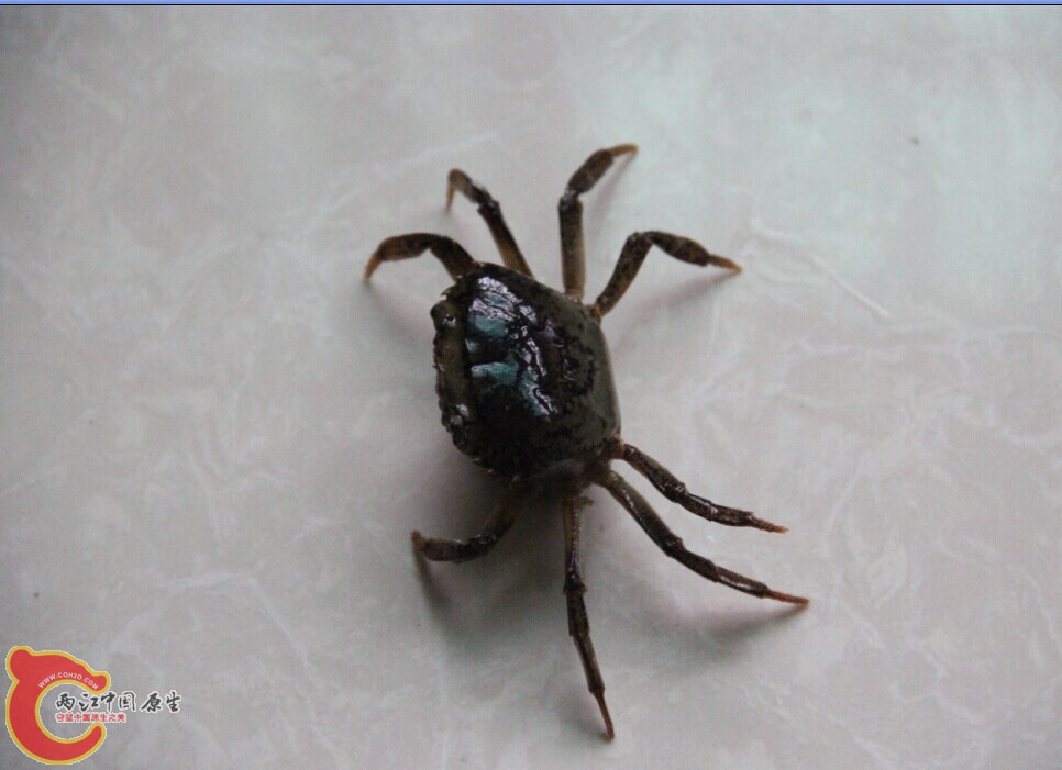 QQ图片20140625092656.jpg