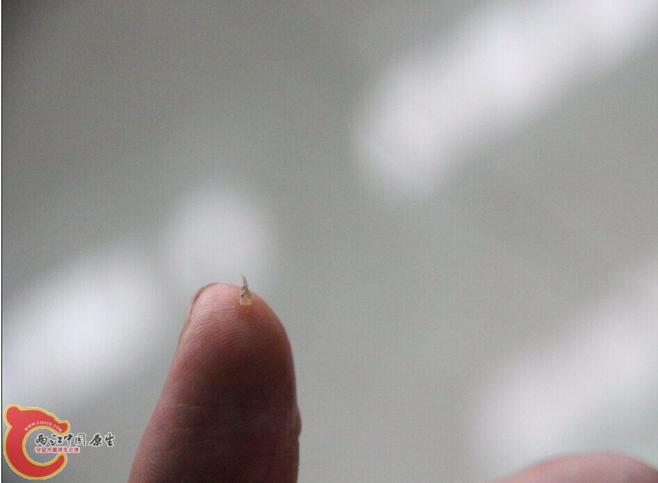QQ图片20140625092706.jpg