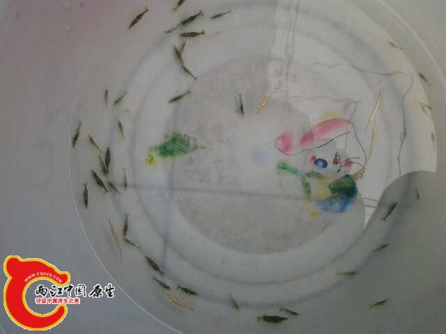 20140628_114433.jpg