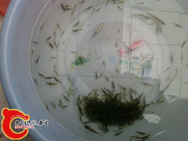 20140628_113952.jpg