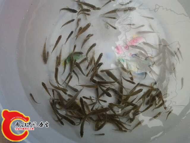 20140628_113405.jpg