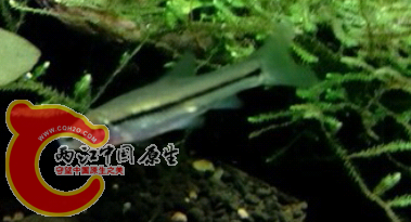 20140628_211546.png