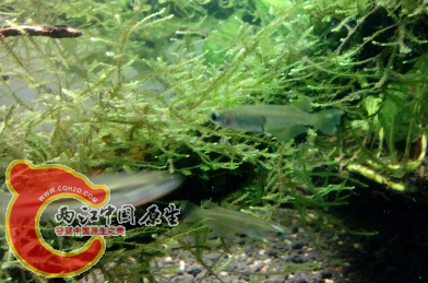 20140628_211605.png