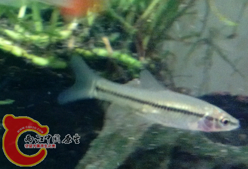 20140628_214532.png