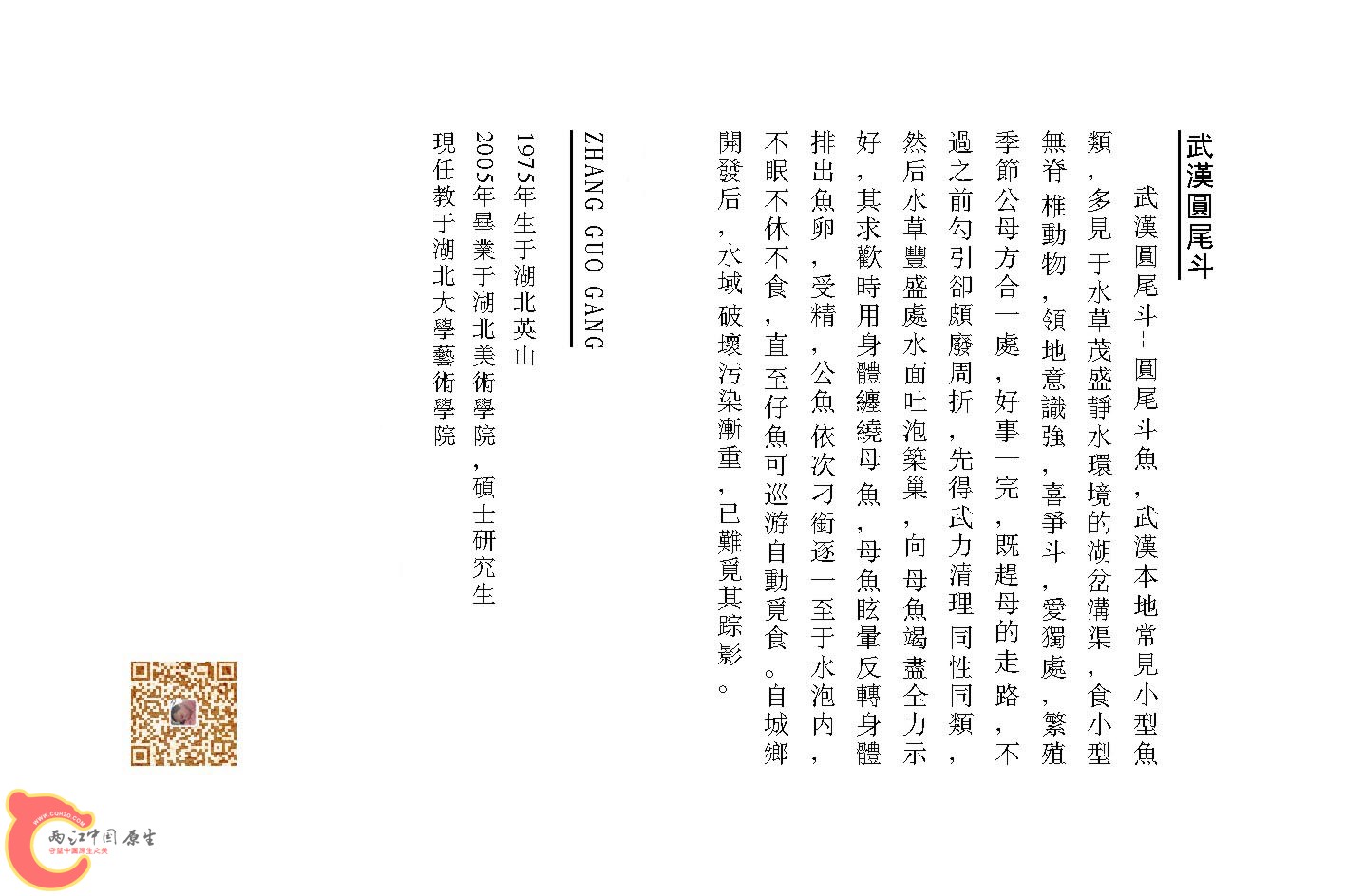 2圆尾（反）