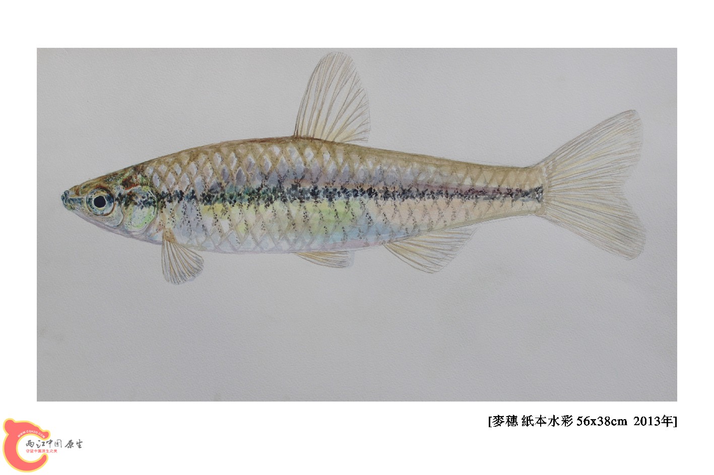 3麦穗（正）