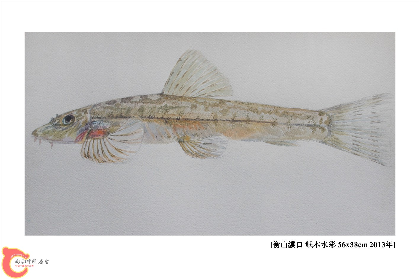 5衡山缨口（正）