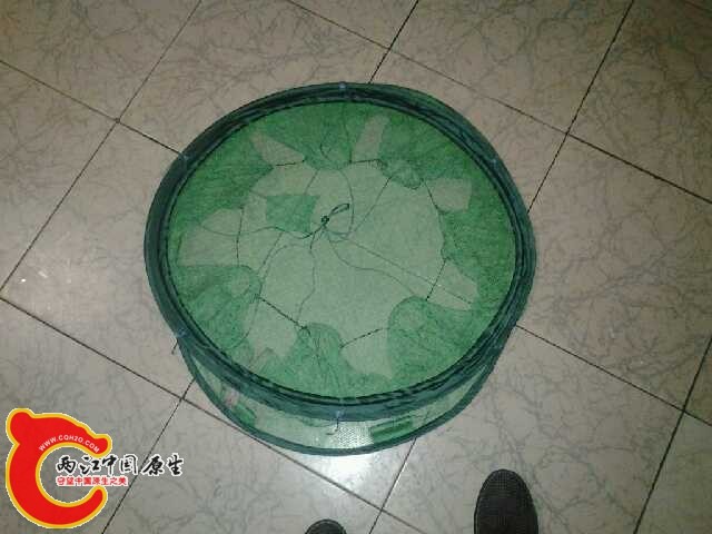20140702_191459.jpg