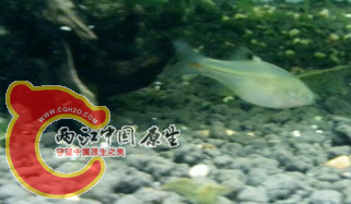20140703_204519.png