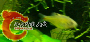 20140703_204541.png