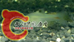 20140703_204614.png