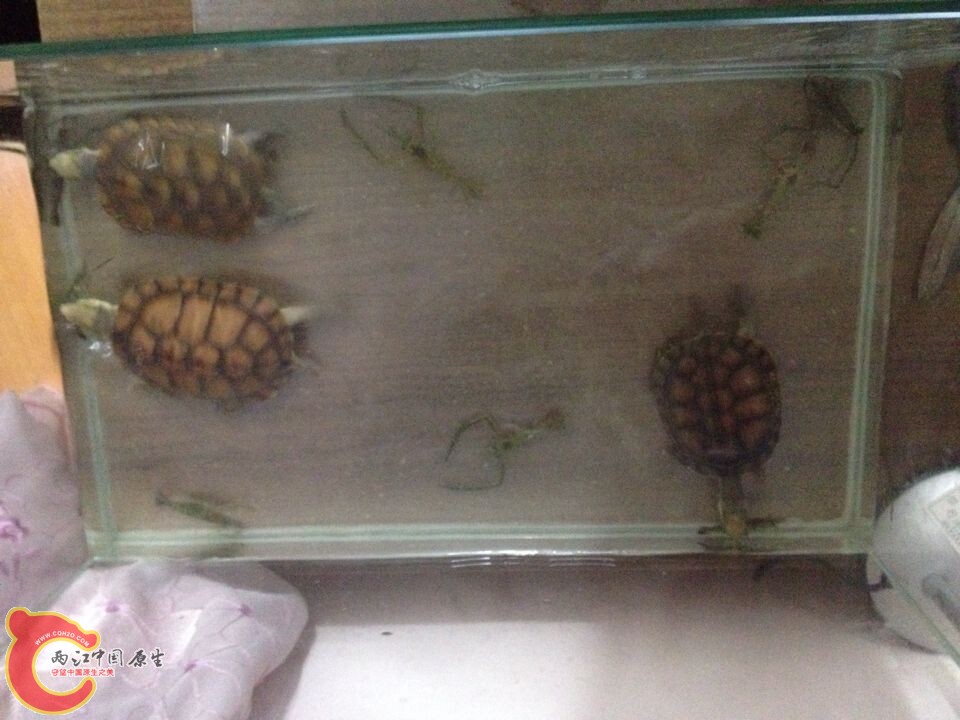 QQ图片20140704094013.jpg