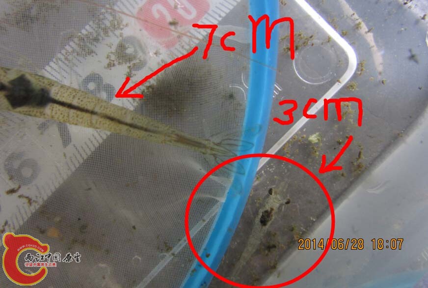 7VS3CM.jpg