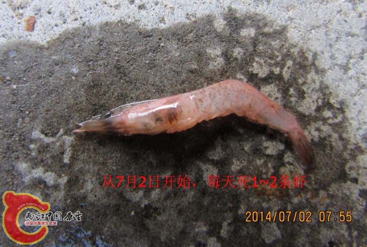 每天.jpg